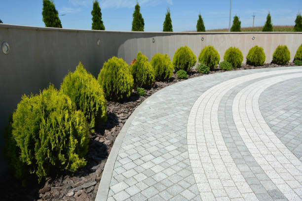 Best Driveway Repair Near Me  in Lawton, IA